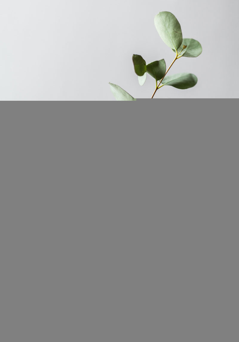 alex-loup-4N5huJDOydQ-unsplash alex-loup-4N5huJDOydQ-unsplash