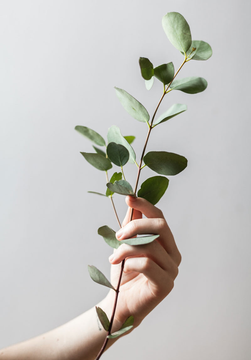 alex-loup-4N5huJDOydQ-unsplash
